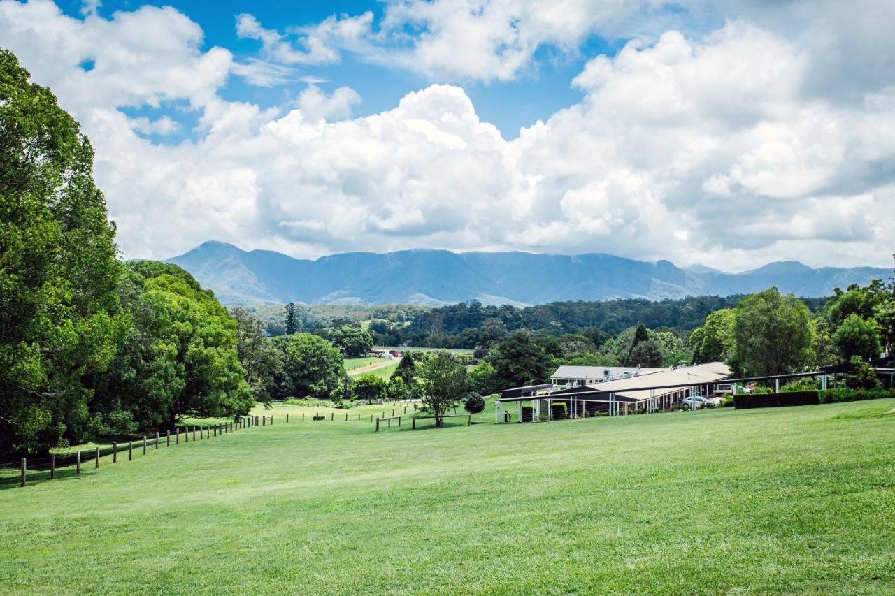 The Lodge Bellingen Εξωτερικό φωτογραφία